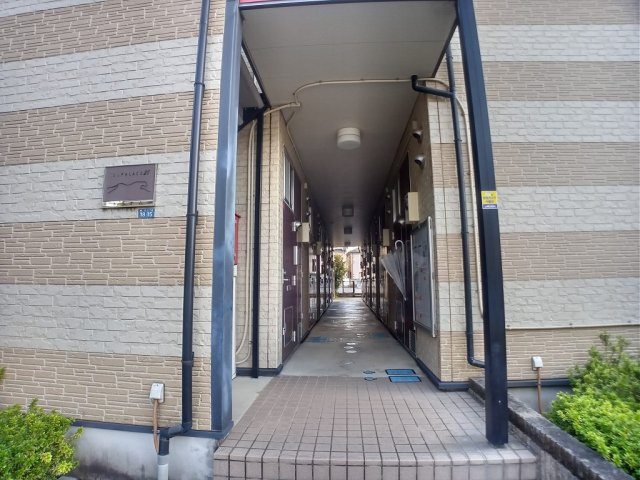 レオパレストラオムのその他