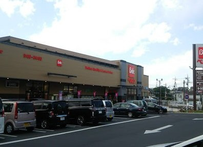 レオパレストラオムの周辺