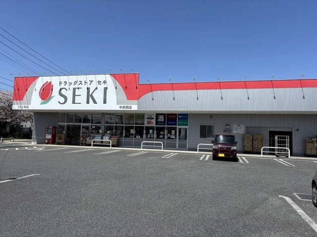 レオパレスアゼリアカーサの周辺