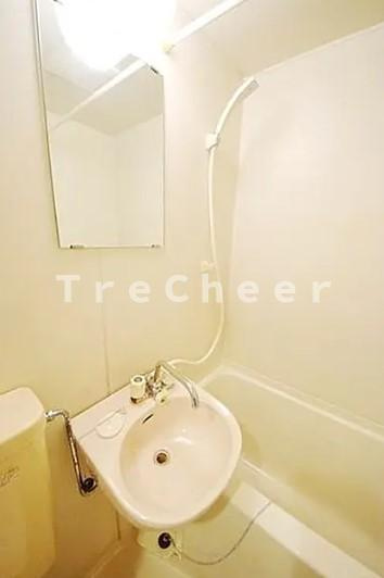 アクア江戸川橋の洗面所