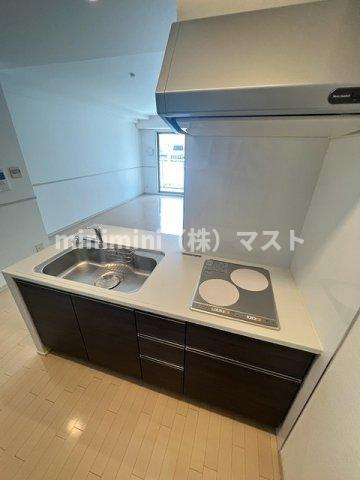 ロイヤルパークス桃坂のキッチン