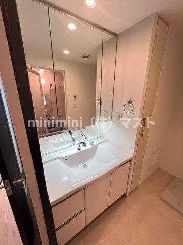 ロイヤルパークス桃坂の洗面所