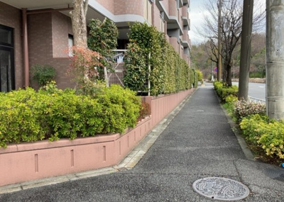 【外観】 | ライオンズマンション南大沢 | 道幅が広い場所は日当たりや風通が良好です。幅が広いのですれ違いも可能ですし大きな車でも駐車可能！一方で、大型車が通ることも多くなるため交通量の増加により騒音に繋がります。また土地の値段が高くなります。