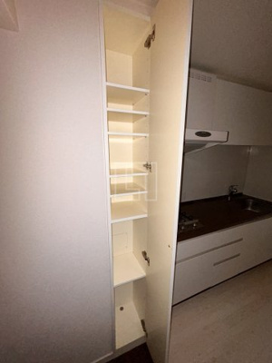 【収納】 | エイペックス東心斎橋Ⅱ | エイペックス東心斎橋II　シューズボックス