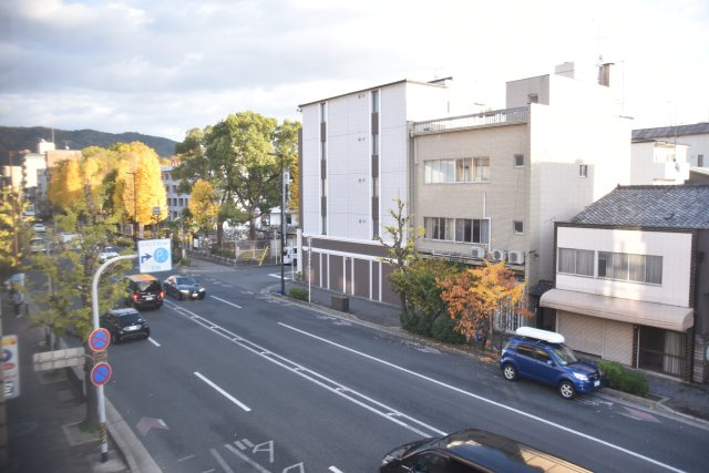 川端丸太町 光が集まる住めるギャラリーの周辺|3階から見た丸太町通り イチョウ並木が美しいです