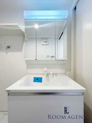 ハーモニーテラス河岸町の洗面所