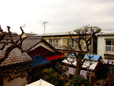 【展望】 | オスト