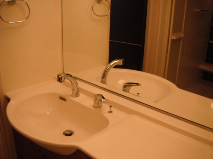 スリー・スター Ⅴ号館 Ａの洗面所|洗面所