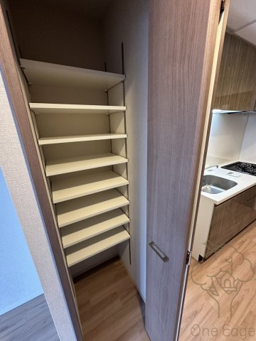 スプランディッド梅田グランノースの収納