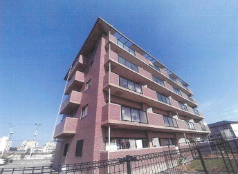 パールグレイス