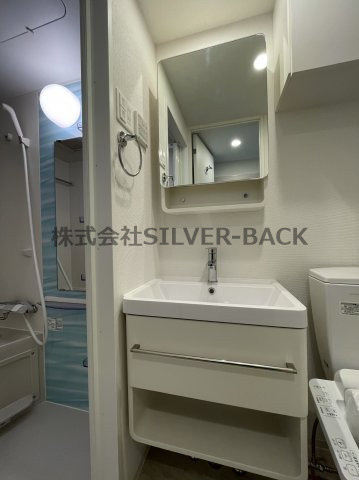 セレニテ桜川駅前プリエの洗面所