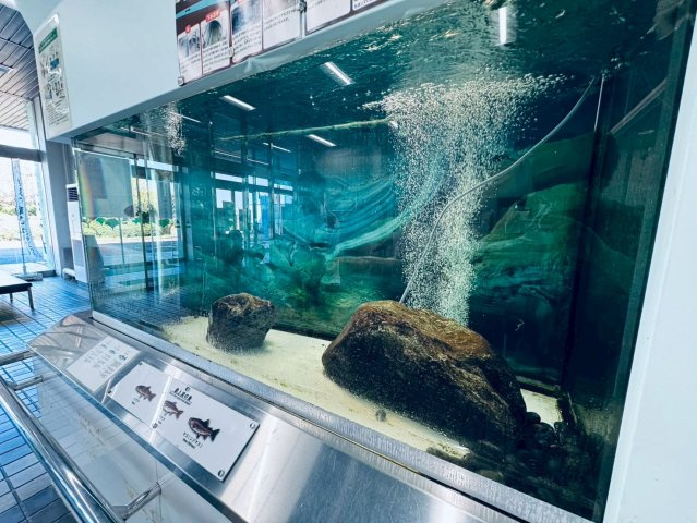 プレスティア昭島　宅地分譲全10区画売地　昭島市宮沢町　6号区　建築条件なしの周辺|多摩川ふれあい水族館