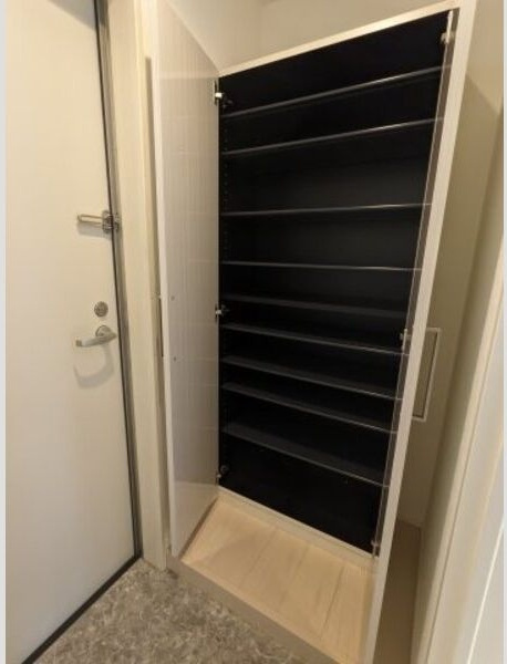 ハーモニーテラス野田Ⅱの玄関