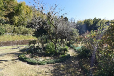 【庭】 | 樋脇町塔之原字西田間田戸建 