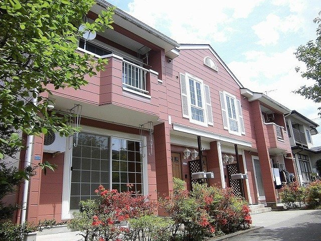 サンフラワ－２４