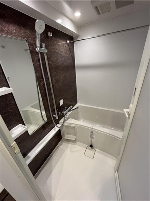 【浴室】 | Ｓ－ＲＥＳＩＤＥＮＣＥ両国ｓｅｒｅａ |  