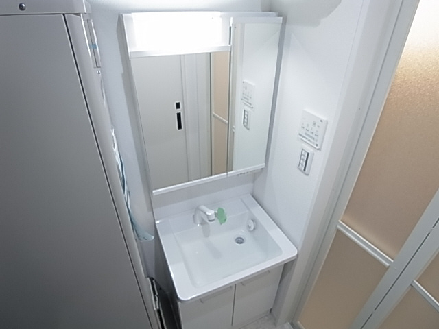 神戸市須磨区戸政町１丁目の賃貸マンションの洗面所|シャンプードレッサー