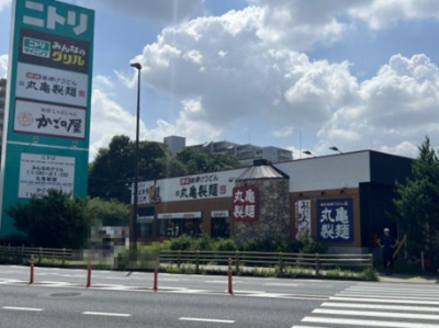 【周辺】 | コーポユング