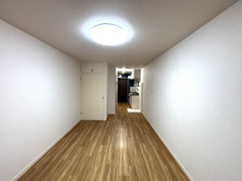 ＬＥＤ照明器具付き