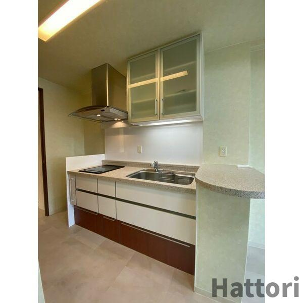 マスターズレジデンス道頓堀Ⅲのキッチン