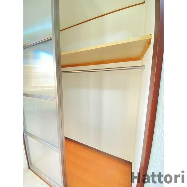 マスターズレジデンス道頓堀Ⅲの収納