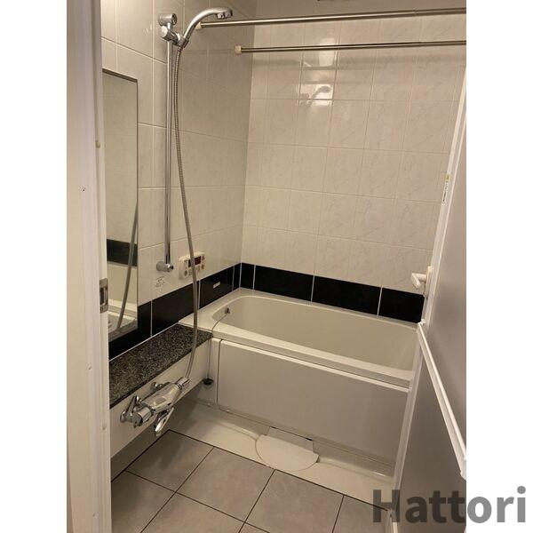 マスターズレジデンス道頓堀Ⅲの浴室