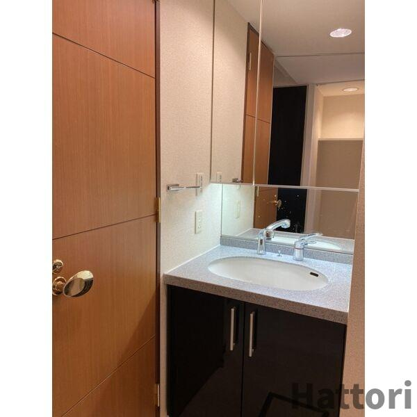 マスターズレジデンス道頓堀Ⅲの洗面所