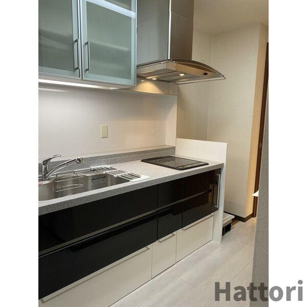 マスターズレジデンス道頓堀Ⅲのキッチン