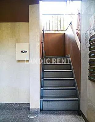 【その他】 | シエスタ平和