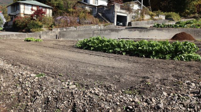 【土地】社松崎の外観
