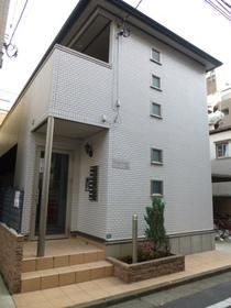 グリーンシーダ