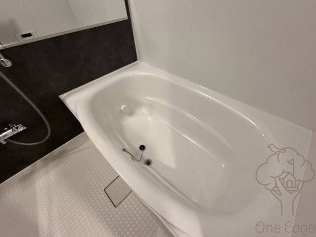 スプランディッド梅田グランノースの浴室