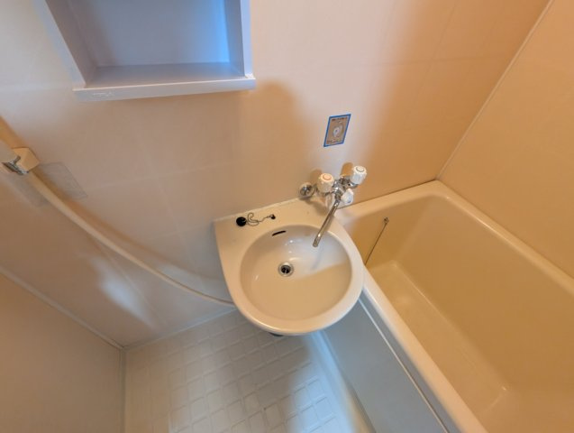 フェリスコート伊丹の洗面所