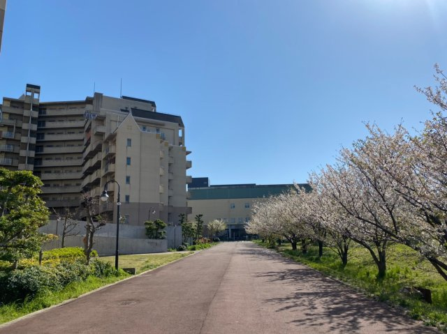 アクアパークCITY岸和田南4番館　中古マンションの外観