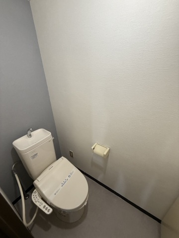 コンビデンス西本のトイレ