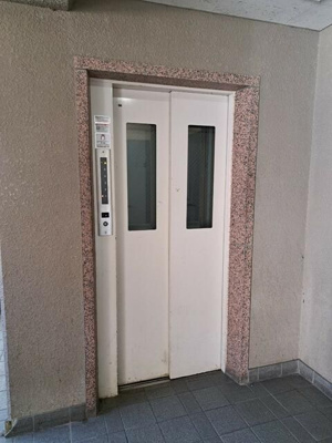 【その他】 | ｍａｇｎｏｌｉａ　ｈｏｕｓｅ