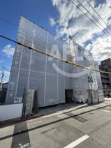 ナティ　サウスの画像