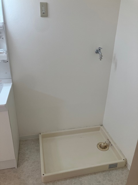 パレプラーンスのその他