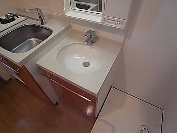 エステムコート神戸元町通の洗面所