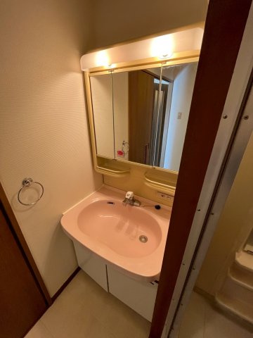 シェリール甲東園の洗面所