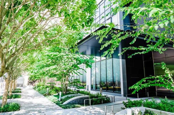  | 【エントランス外観】街路に開かれたエントランスアプローチ！ガラスウォールに潤いの緑が写り込みます。