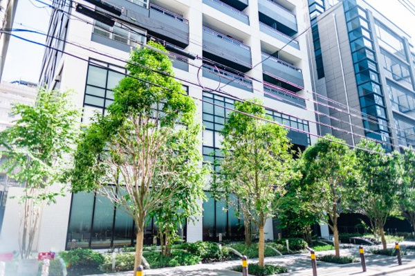 【周辺】 | 【周辺】マンションの周りは、木々に囲まれています！思わず散歩したくなるような、気持ちの良い環境！