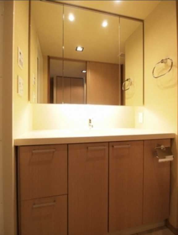 エスティメゾン銀座　駅近　ペット相談可　礼金０　オートロックの洗面所