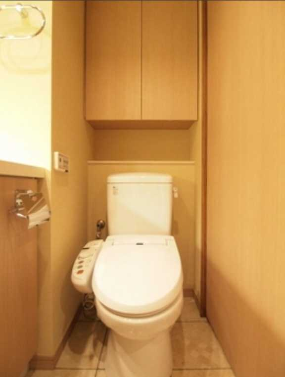 エスティメゾン銀座　駅近　ペット相談可　礼金０　オートロックのトイレ