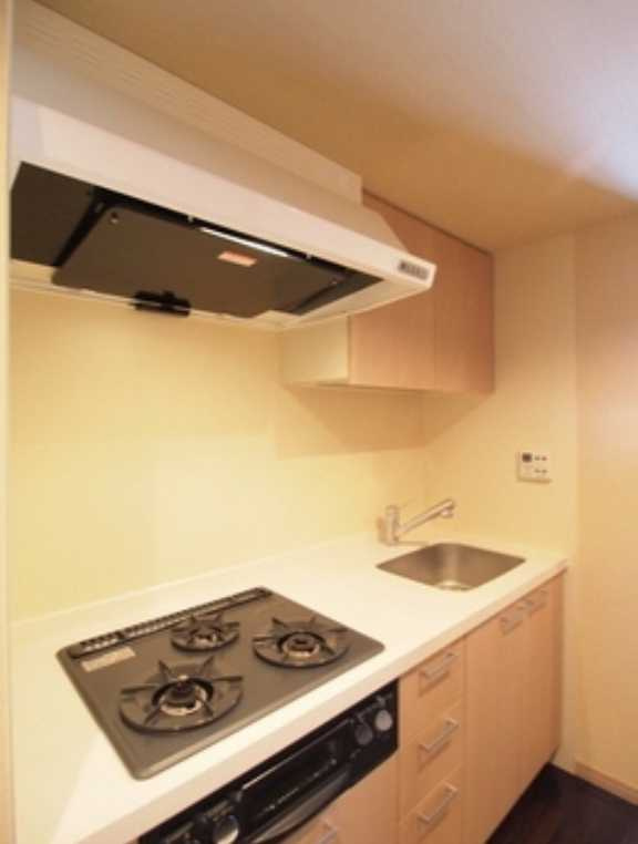 エスティメゾン銀座　駅近　ペット相談可　礼金０　オートロックのキッチン