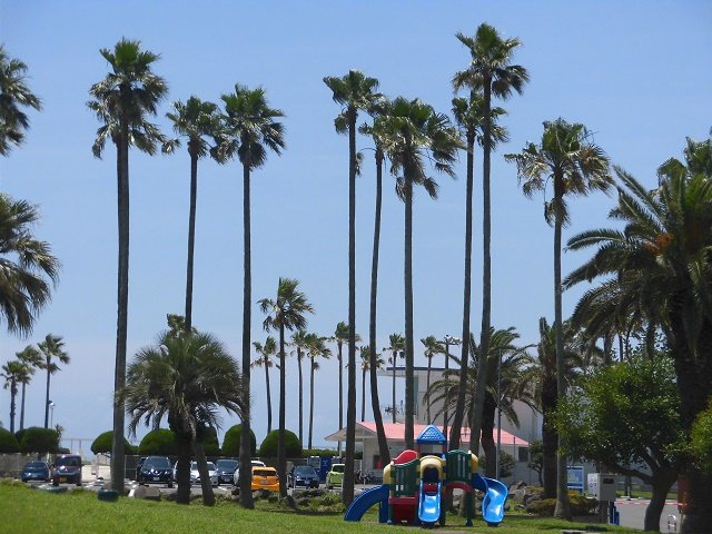 海まで2分！逗子マリーナ8号棟　2階の周辺|周辺