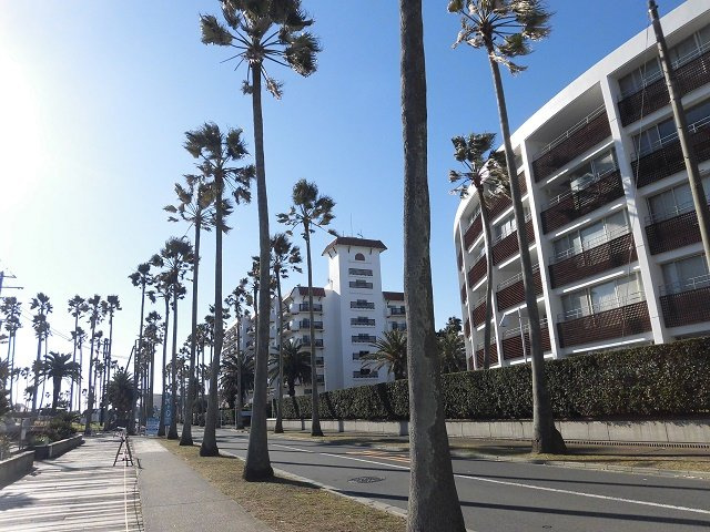 海まで2分！逗子マリーナ8号棟　1階の周辺|リゾート感溢れる周辺