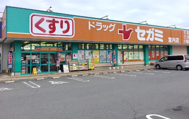 グランデュールの周辺|ドラッグセガミ宮内店（ドラッグストア）まで1,213ｍ