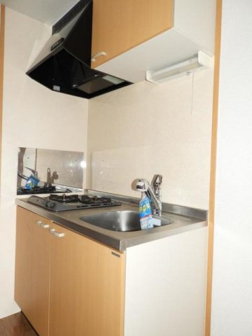 ワンダフルパレスＮＩのキッチン|コンパクトなキッチンで掃除もラクラク