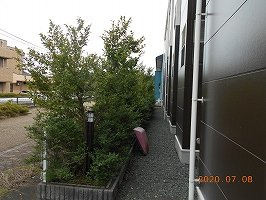 レオパレスみどりのその他